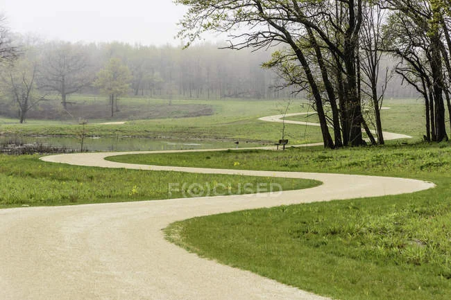 UiPath's Surge: The Breakthrough Behind the Numbers and What It Signals for AI