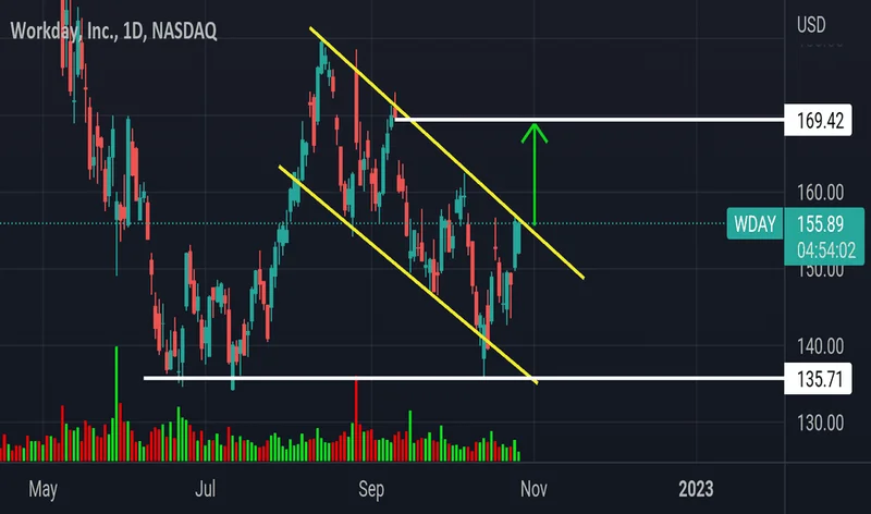Workday Stock: The Q3 'Beat' That Tanked Its Price – What’s the Catch?